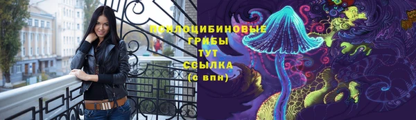 соль ск Лихославль