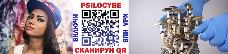 Псилоцибиновые грибы мицелий  Ачхой-Мартан 